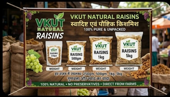 VKUT Natural Golden Raisins (किशमिश)